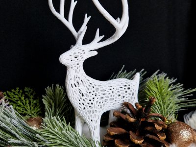 20221223_103555-3-scaled-1